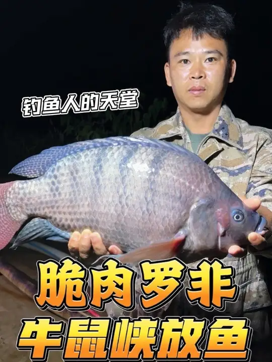 脆肉罗非鱼有可能是世界上最好吃的鱼