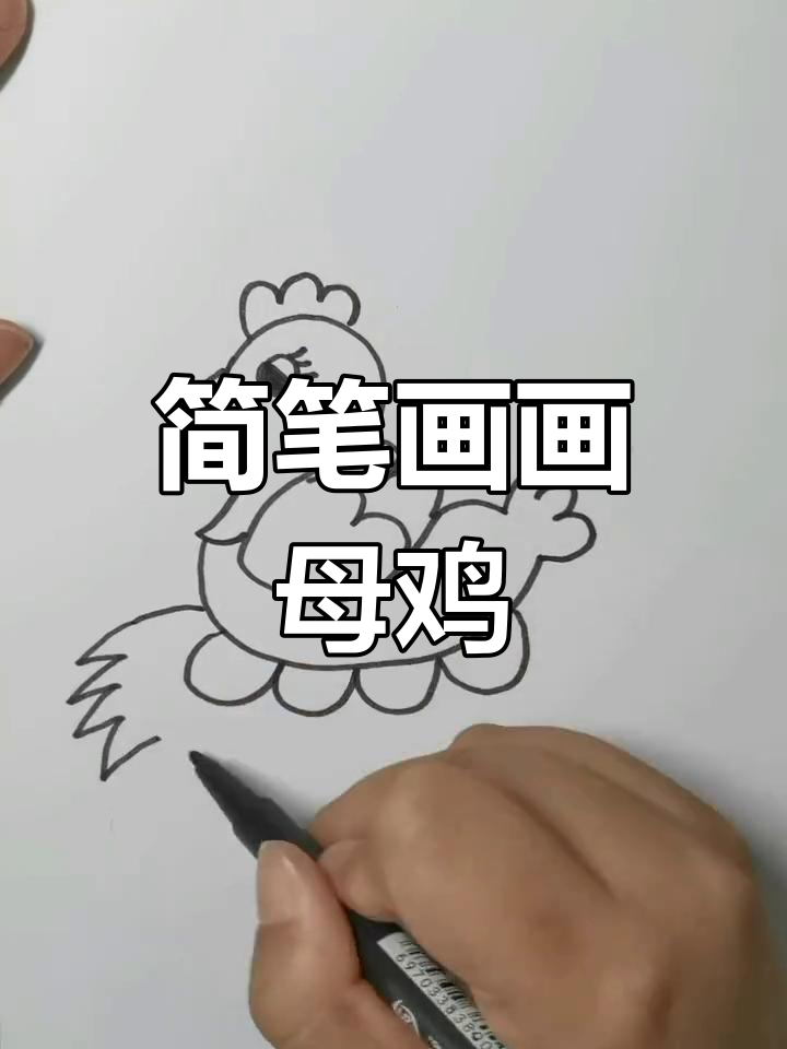 用简单线条画出可爱的母鸡