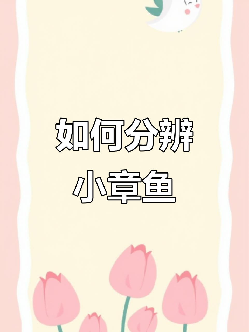 小章鱼价格差异大,如何区分旺巢和喉水?