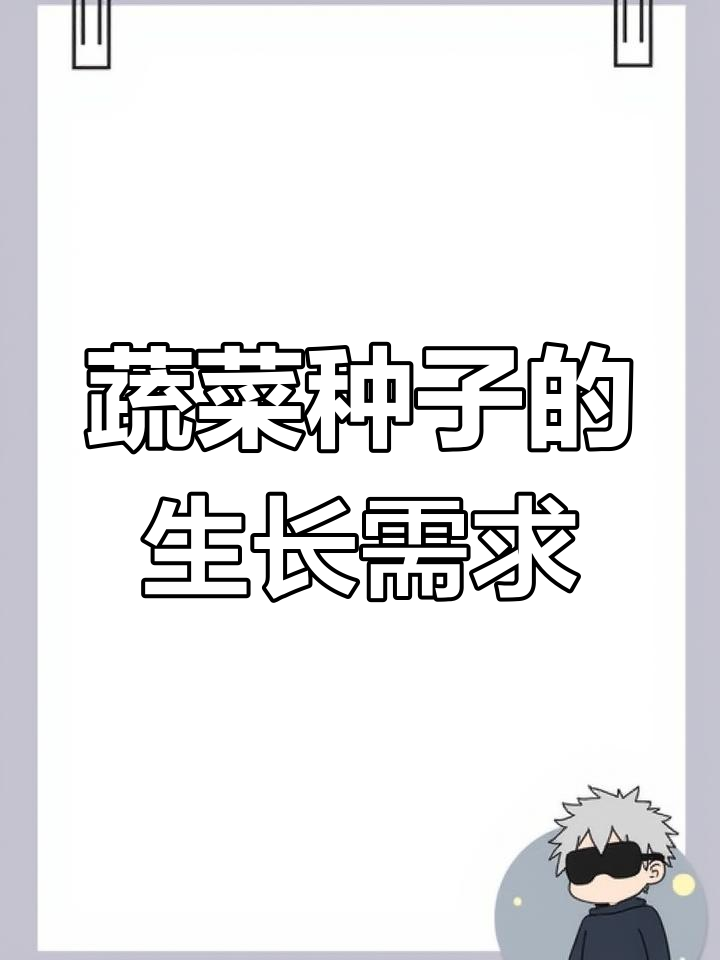 蔬菜种子发芽的关键因素:温度、氧气和光照