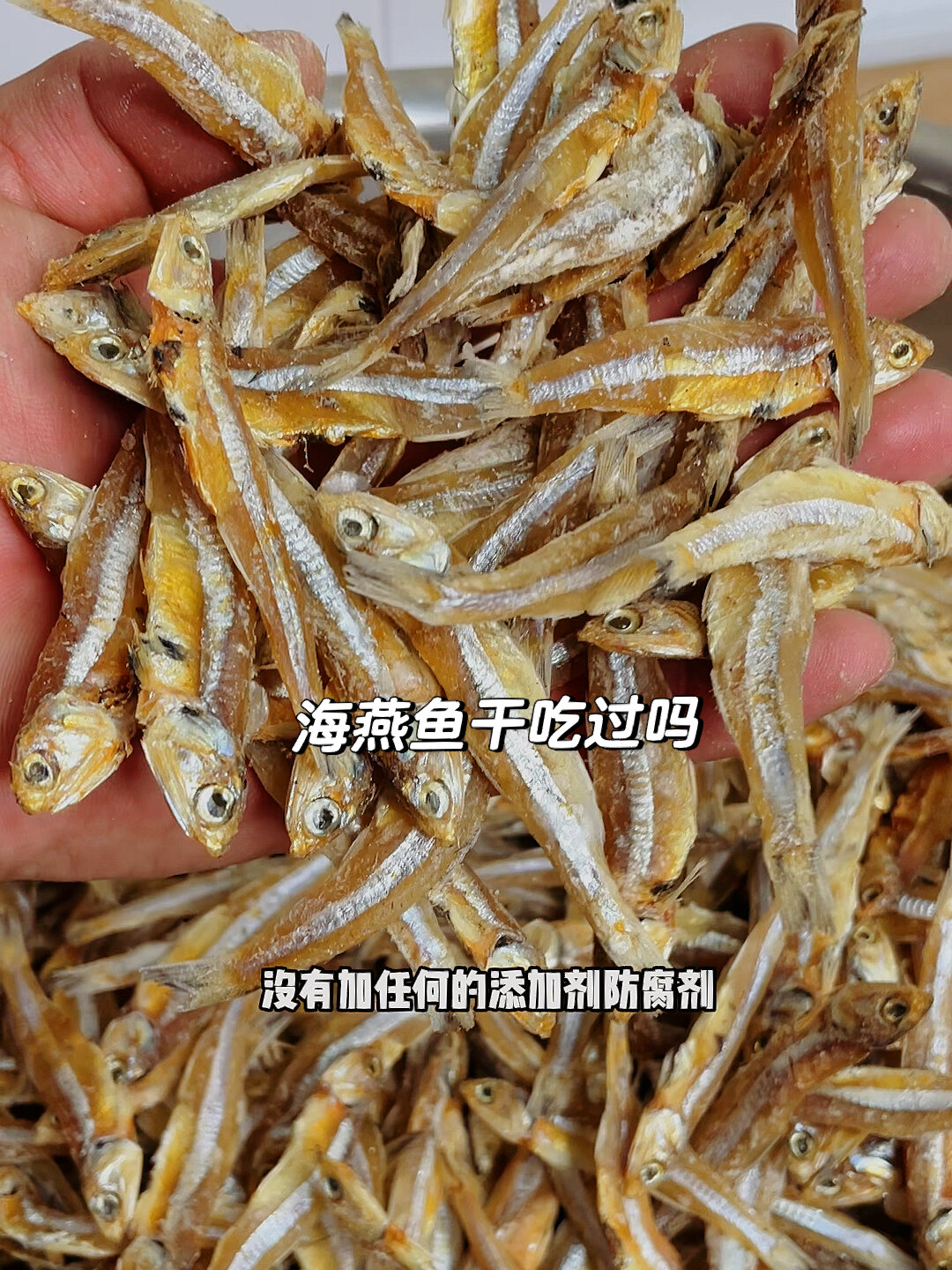 海燕鱼干你吃过吗