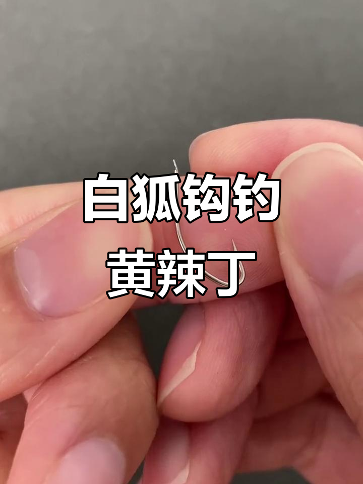 钓黄辣丁必备白狐钩,锋利窄门设计让你轻松上鱼