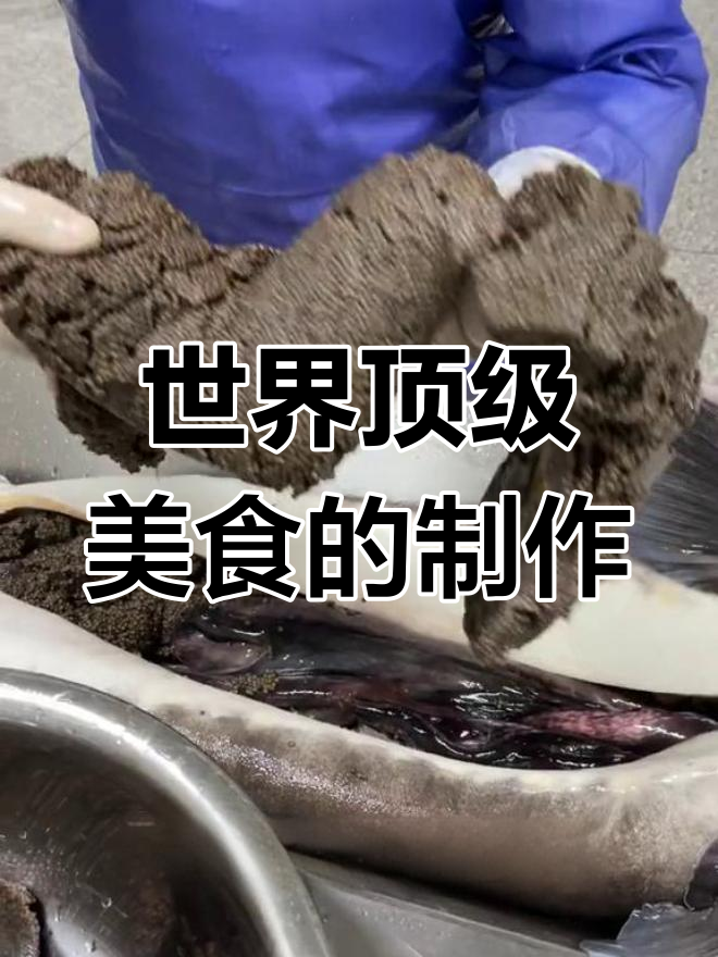 揭秘世界三大美食之一的制作过程,鲟鱼卵如何变美味?