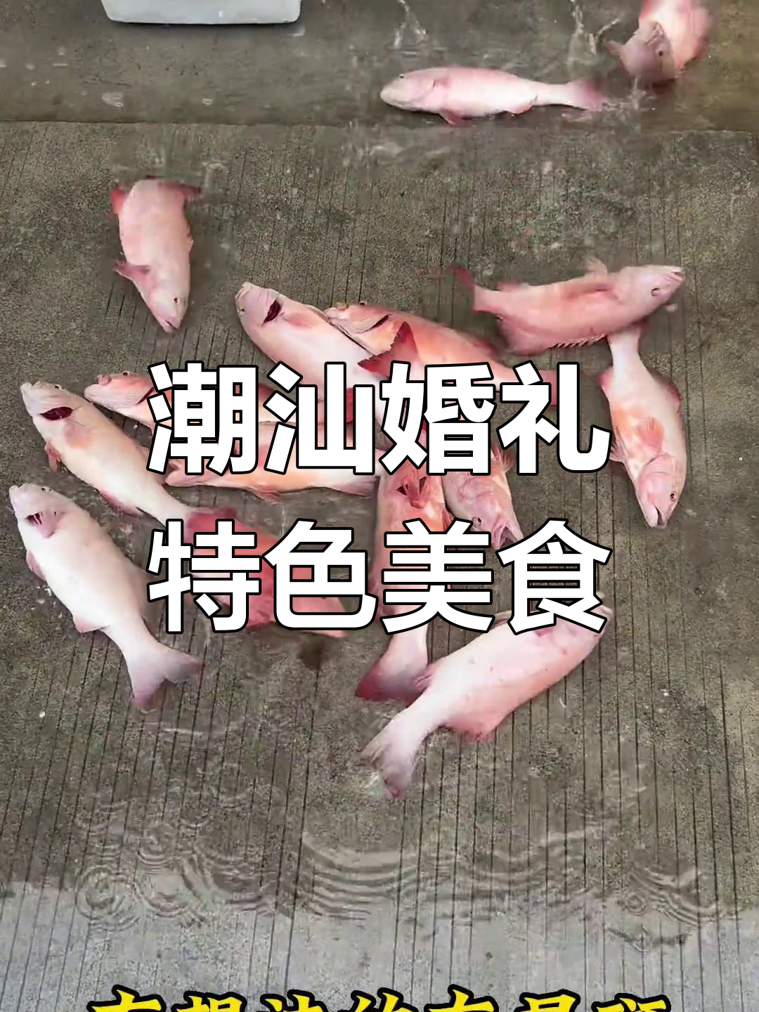 潮汕婚嫁酒席大揭秘,富贵燕窝与清蒸海鲜齐飞