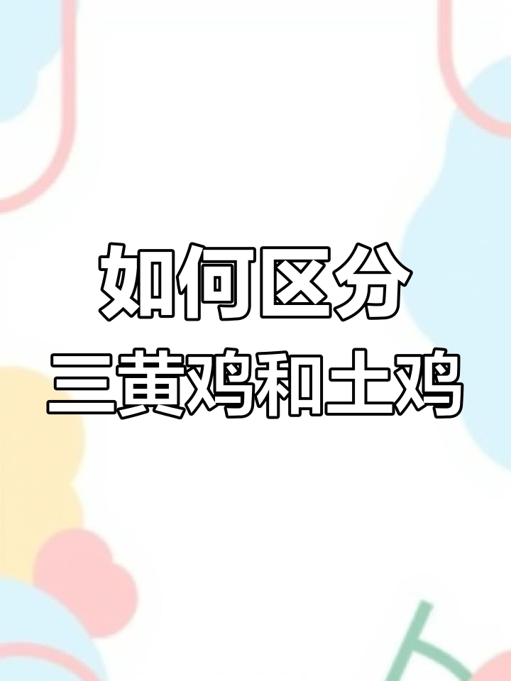 三黄鸡与土鸡的区别解析