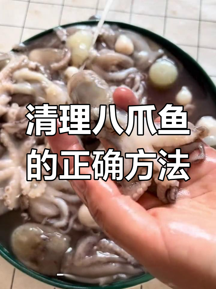 八爪鱼能吃吗?揭秘其内部结构