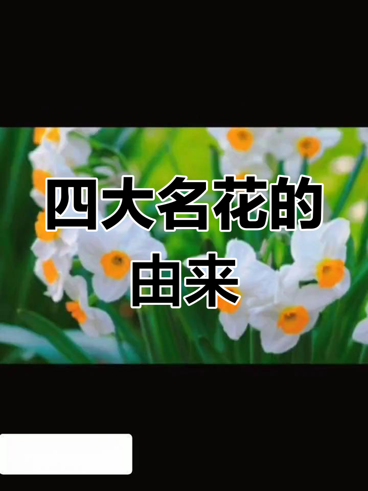 中国四大名花,你知道是哪四种吗?