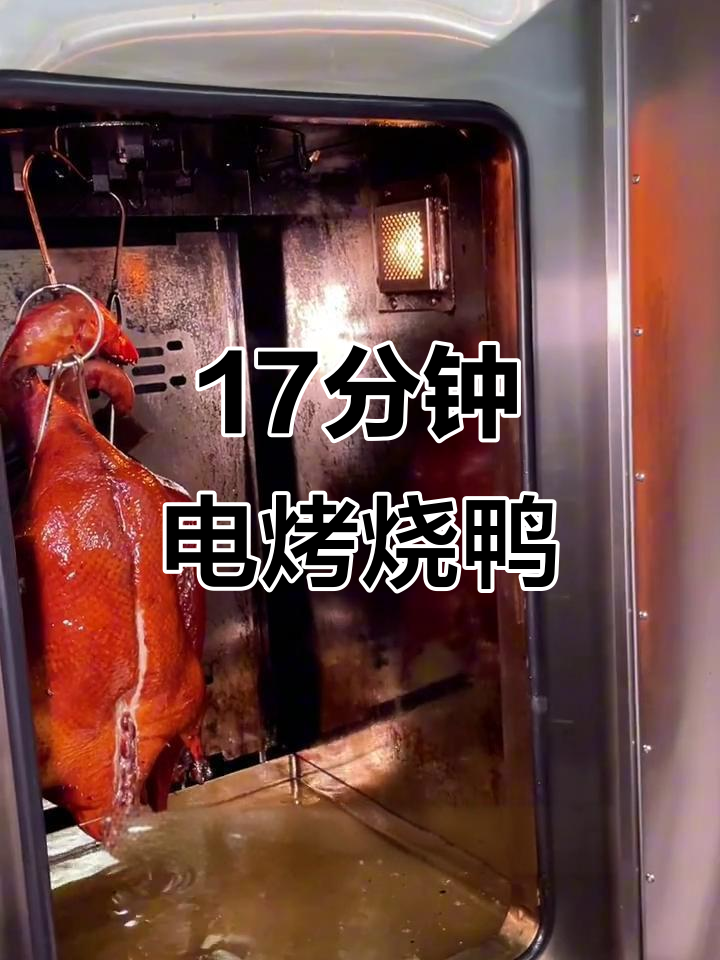 电烤炉快速烤鸭鹅,17分钟搞定美味烧腊
