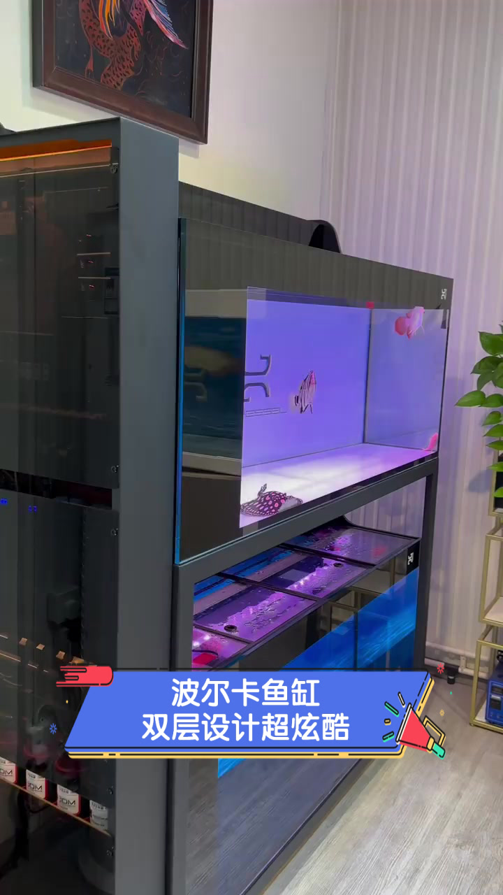 波尔卡鱼缸,双层设计超炫酷