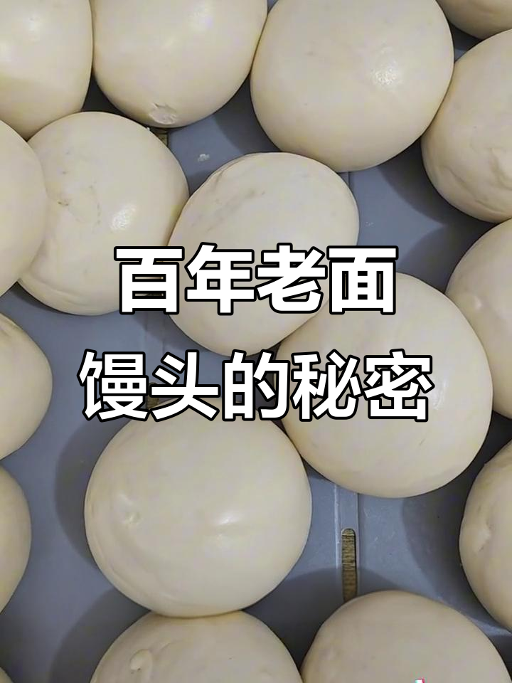 老面馒头火爆到武汉人来买,日入万元不是梦