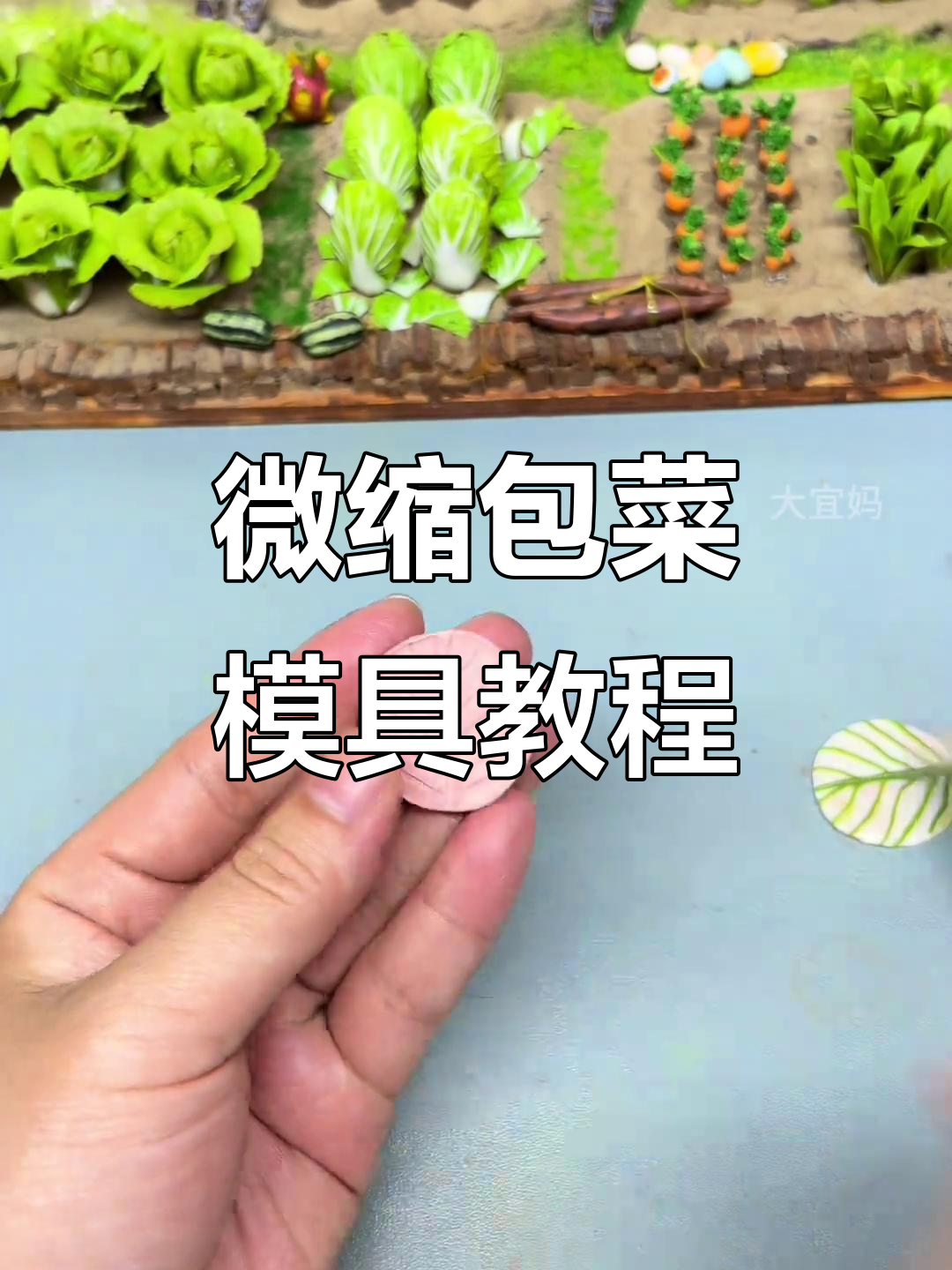 微缩包菜模具制作教程,简单步骤教你做迷你叶纹