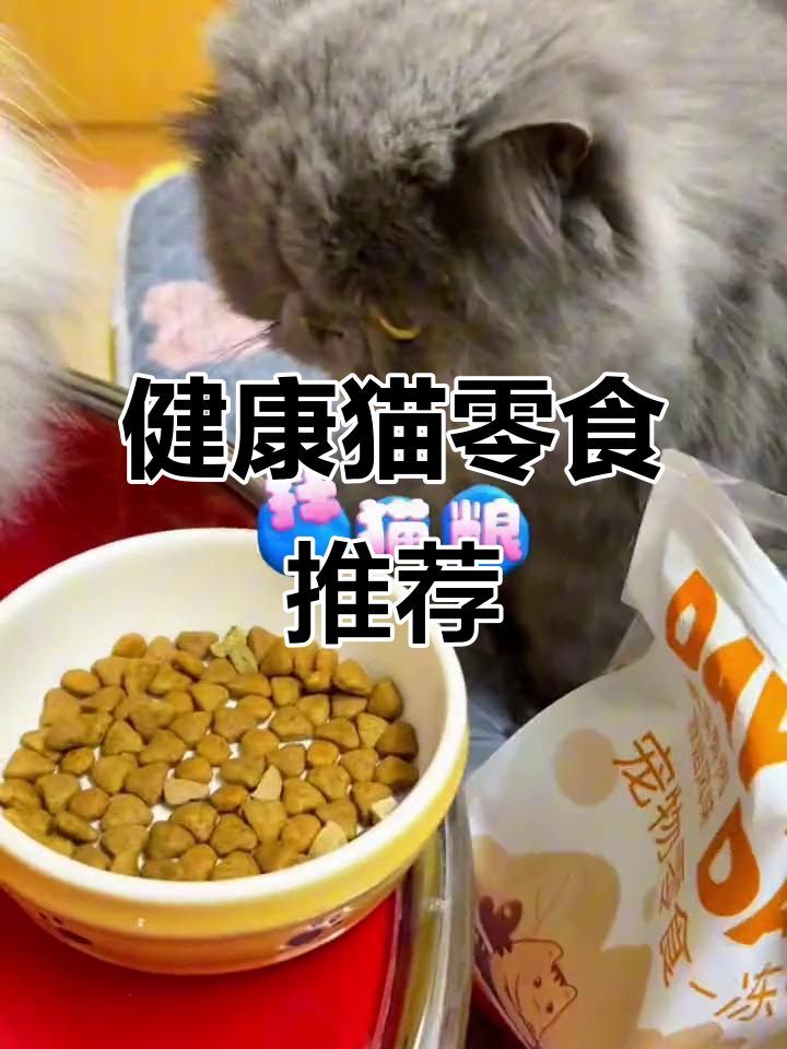 猫零食选健康，生骨肉冻干让猫咪吃得放心