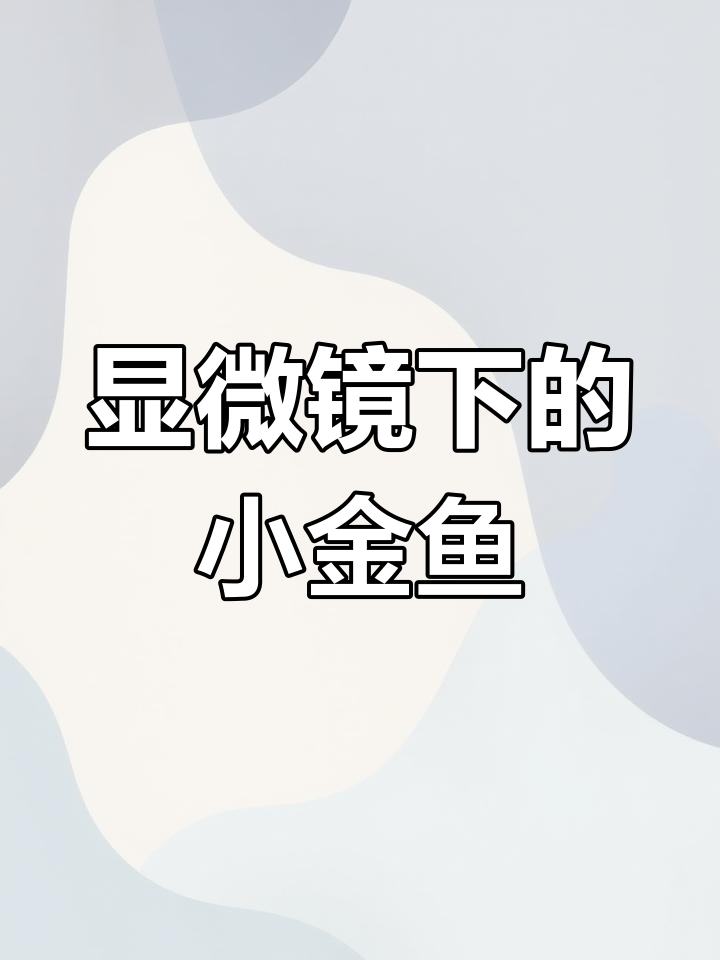 小金鱼尾巴放大200倍,血液流动惊艳呈现