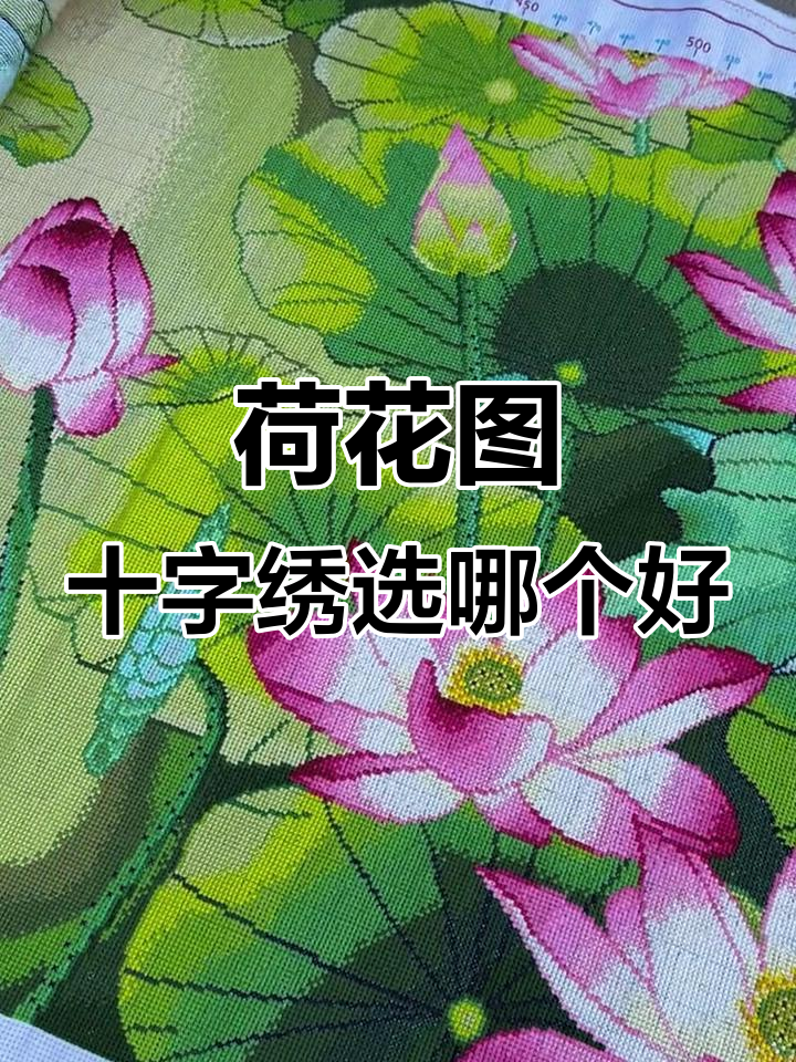 荷花图十字绣对比,哪款更适合你?