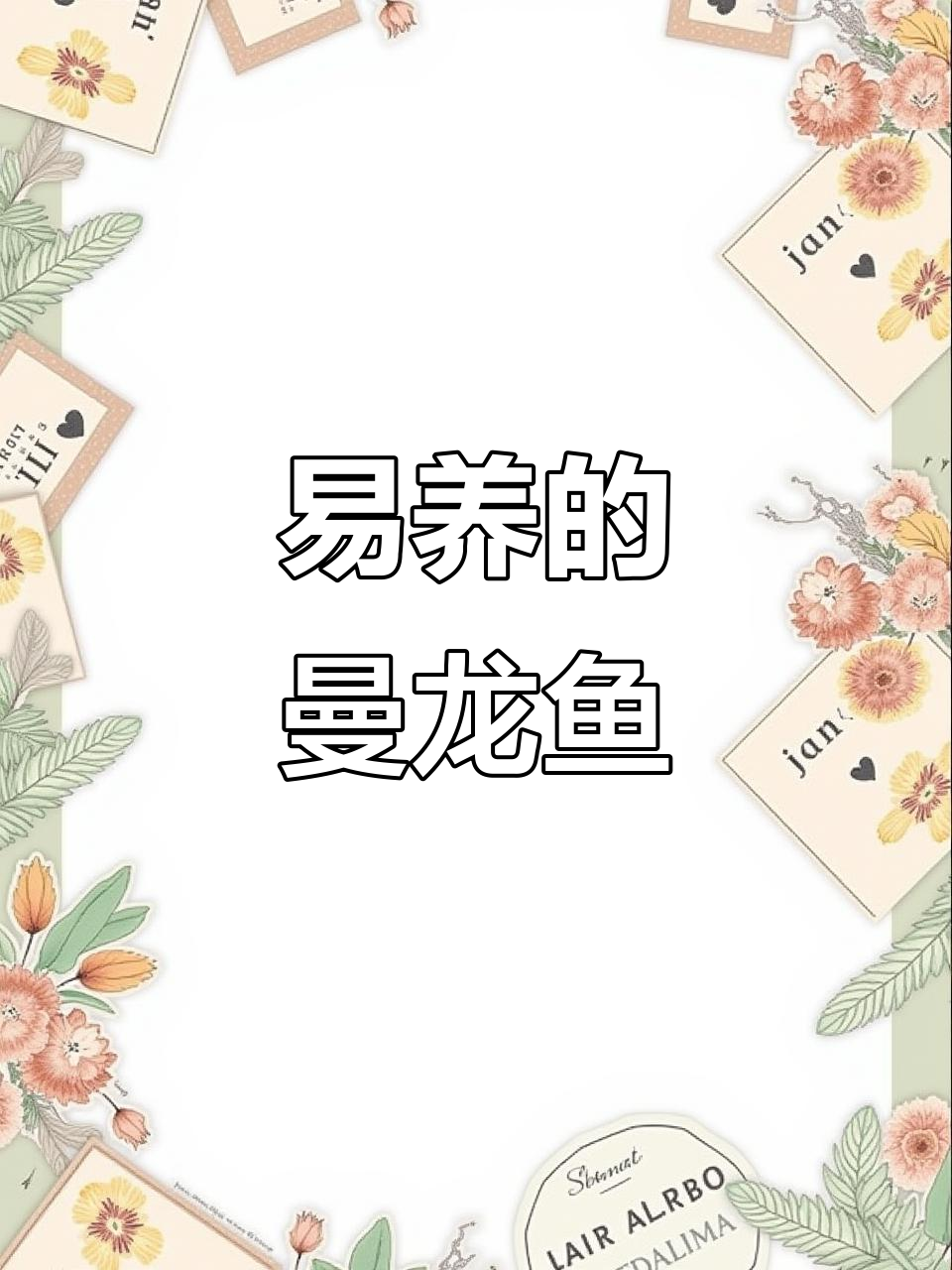 曼龙鱼：易养热带观赏鱼，水温适宜、水质要求不高