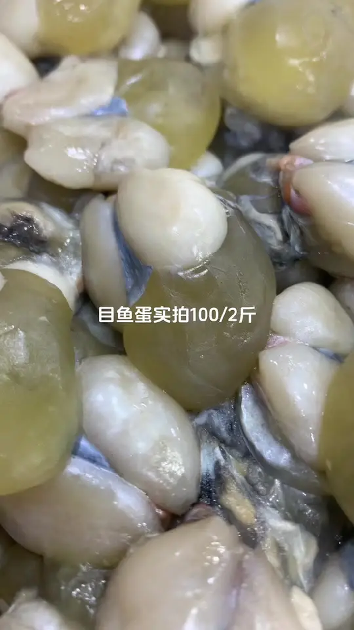 舌尖上的味道 目鱼蛋到了今天新货