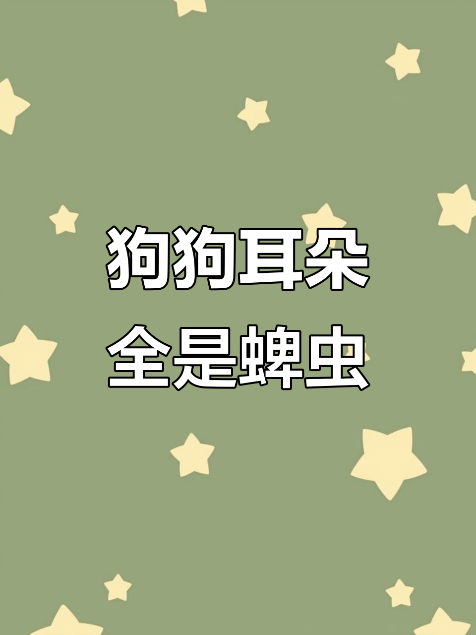 小白狗身上蜱虫成群,善良小姐姐耐心清理救它于水火之间