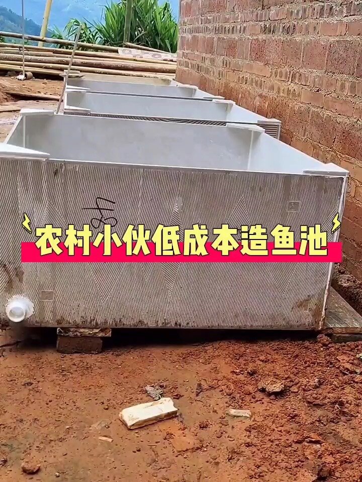 那小伙自制瓷砖鱼池