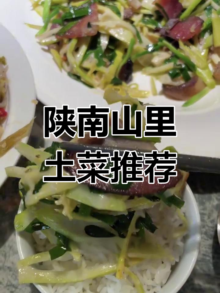 西安陕南山里菜大揭秘,鲜竹笋炒腊肉必试!