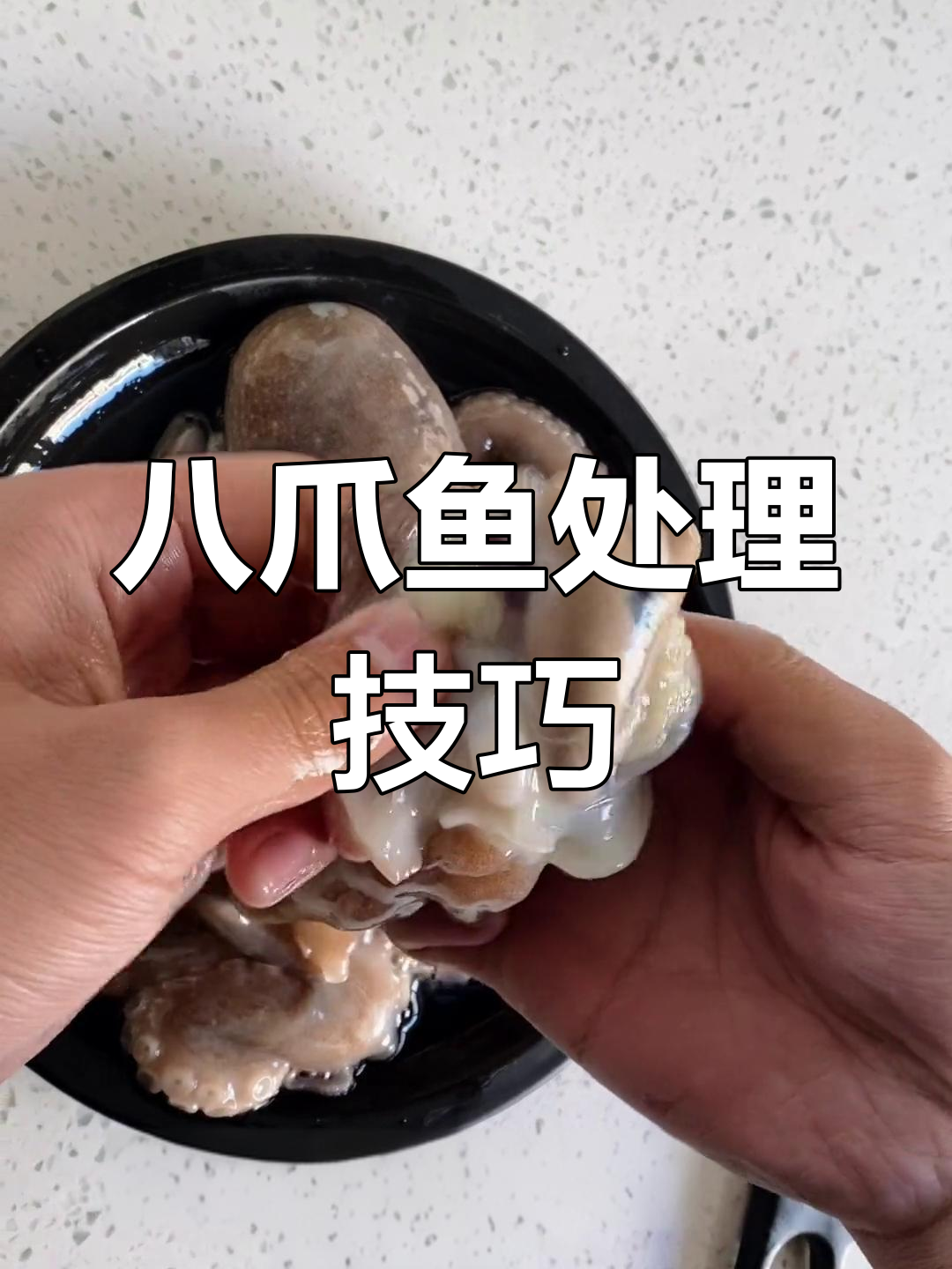 如何清理八爪鱼内脏