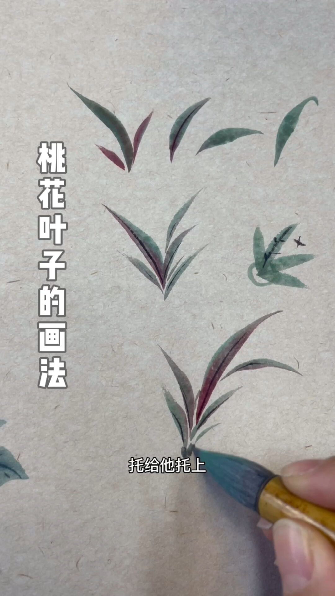 桃花叶子的画法