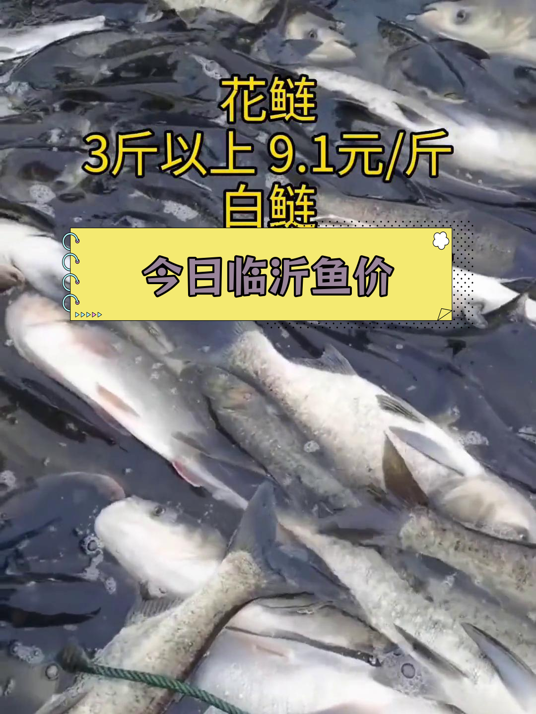 山东临沂批发市场鱼价行情