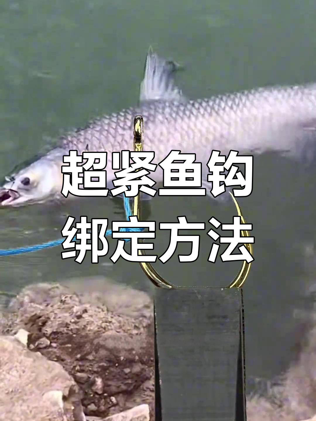 钓鱼新手必学:鱼钩绑法技巧