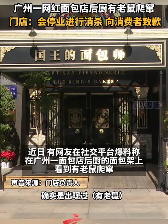广州一网红面包店后厨有老鼠爬窜,门店:会停业进行消杀,向消费者致歉