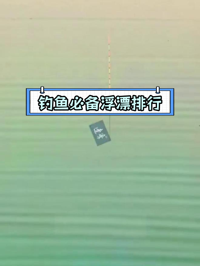 十大浮漂品牌推荐,选哪款最适合你?