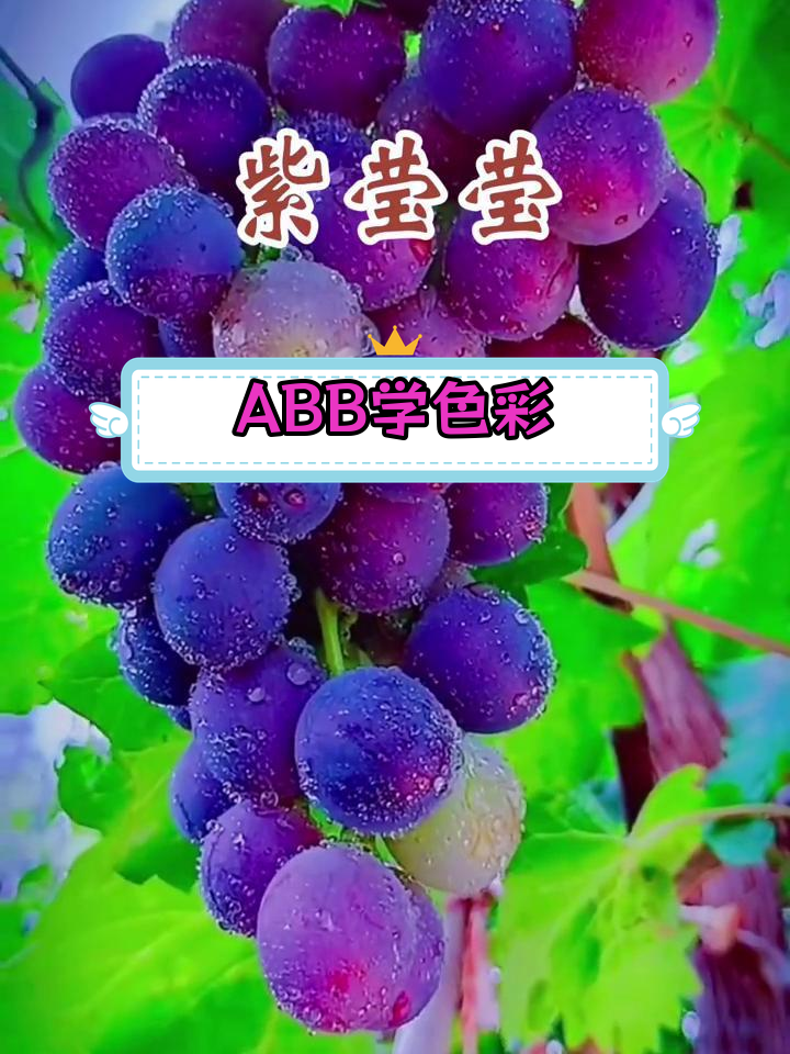 幼儿识字:ABB式词语教你认颜色