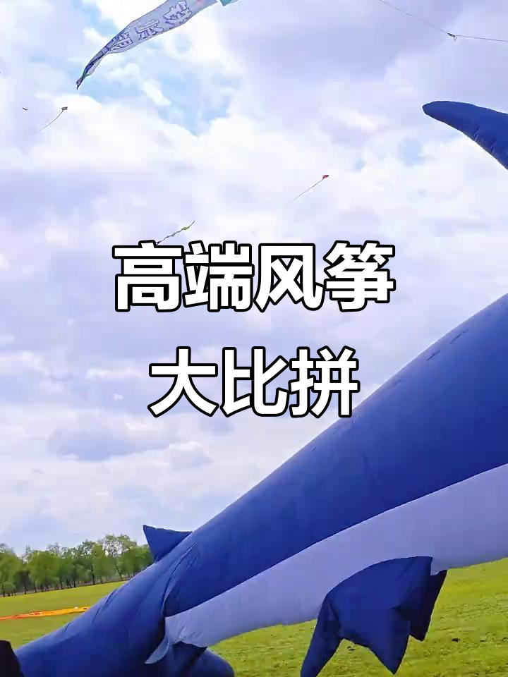高端局风筝对决,鲨鱼与捕风者谁更强?