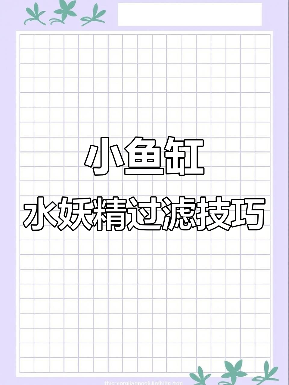 水妖精过滤器使用指南，小鱼缸必备神器