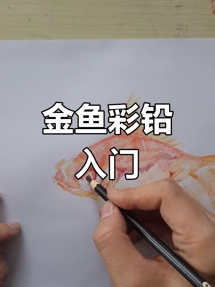 深入绘制金鱼，掌握彩铅技巧