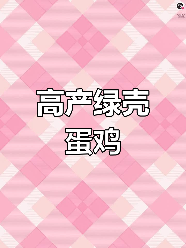 绿壳蛋鸡品种介绍:麻羽高产土鸡,抗病力强