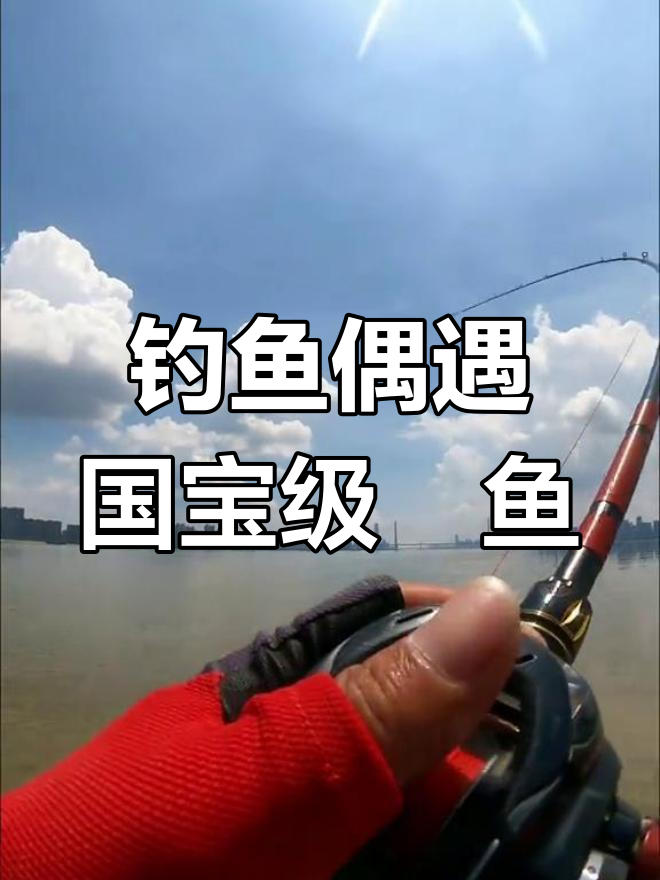 江边藏族舞者引翻踏板,钓得两条珍稀鳤鱼