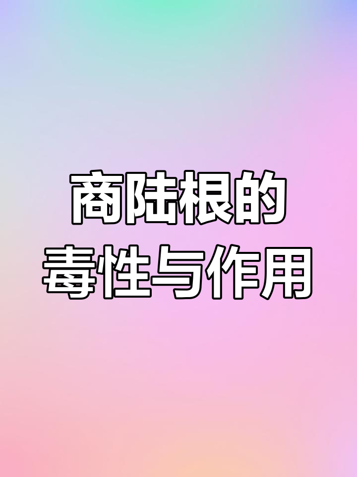 商陆根有毒,误食可能中毒!了解它的功效与风险