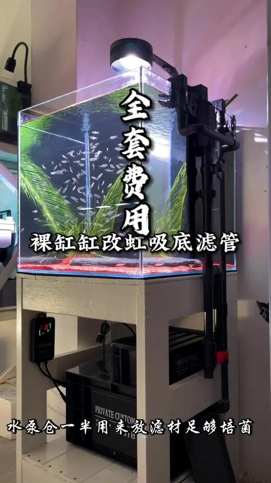 创作灵感 从0打造一口底滤缸,视频最后有全套总花费,感兴趣可以看前两期视频 养鱼日记 方缸