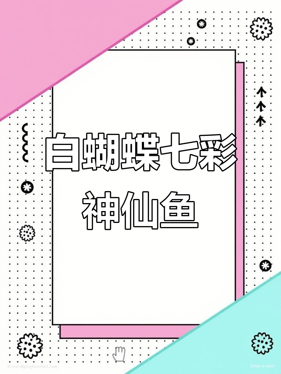 白蝴蝶七彩神仙鱼:美丽斑纹与优雅游动的完美结合