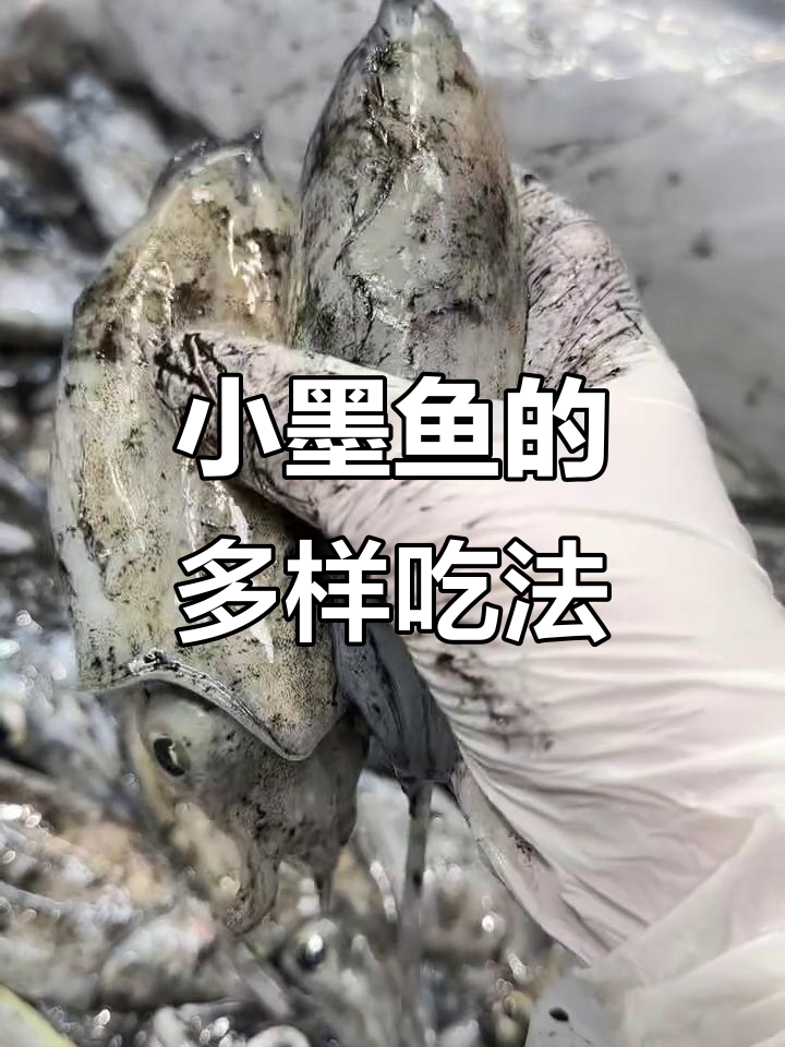 小墨鱼多种做法,原汁原味,炒菜或烤制都美味十足