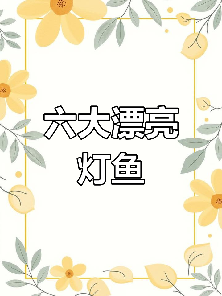 6种美丽灯鱼推荐,草缸造景必备