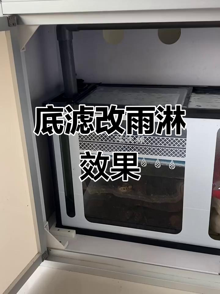 鱼缸底滤改造:从翻水区到雨淋式过滤