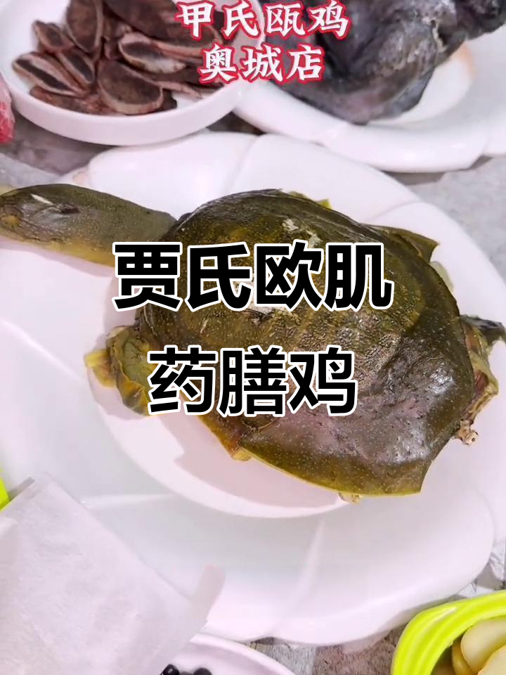 天津贾氏欧肌药膳鸡,滋补又美味,宝妈必试!