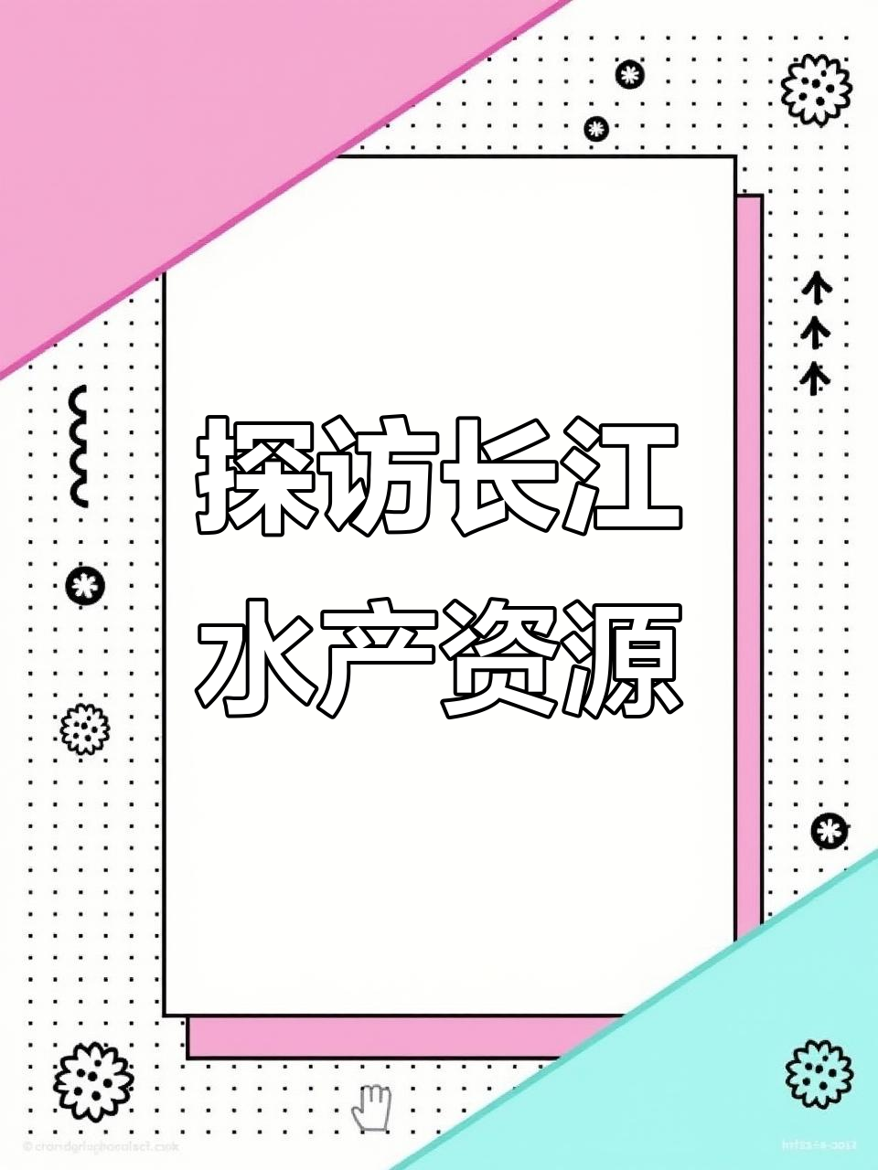 长江流域常见淡水鱼大揭秘,八十种珍稀鱼类全解析