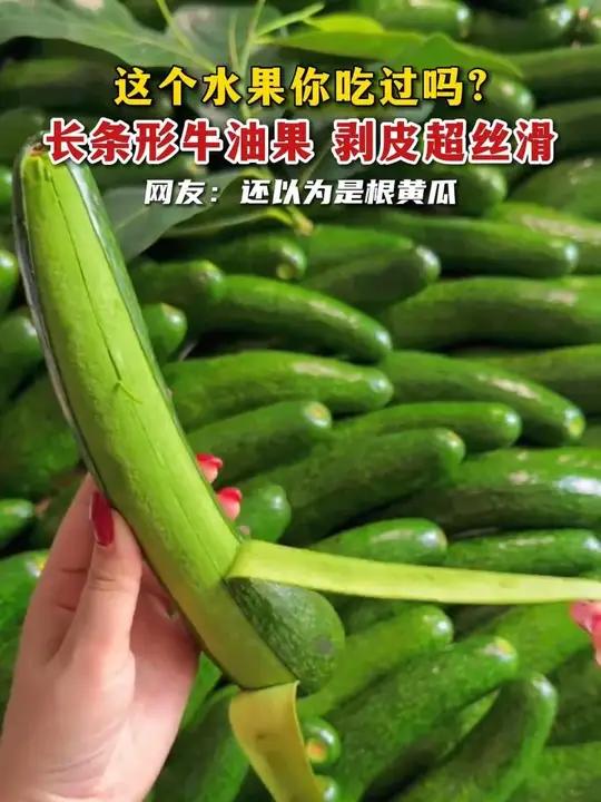 还以为是根黄瓜 这个水果你吃过吗