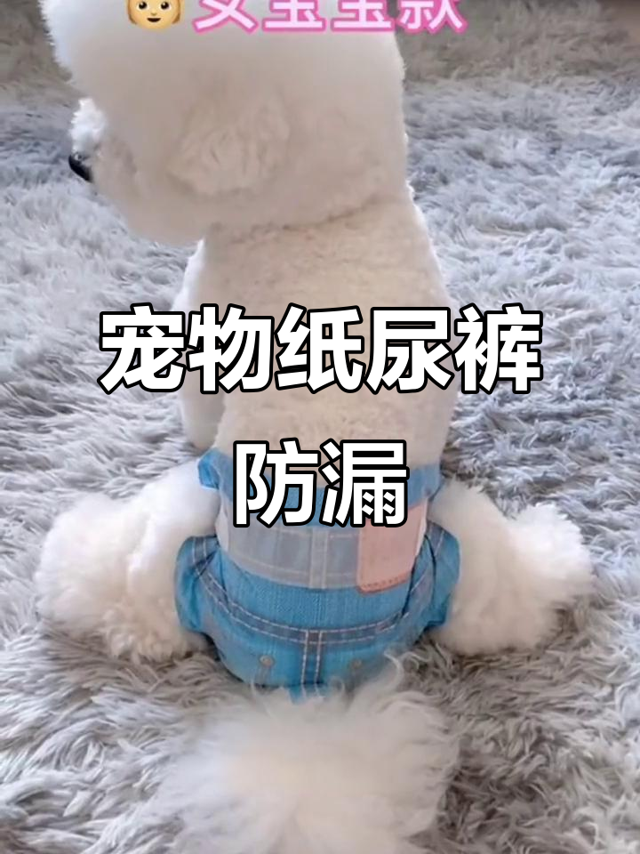 给毛孩穿上纸尿裤,避免乱尿尴尬,舒适透气更安心