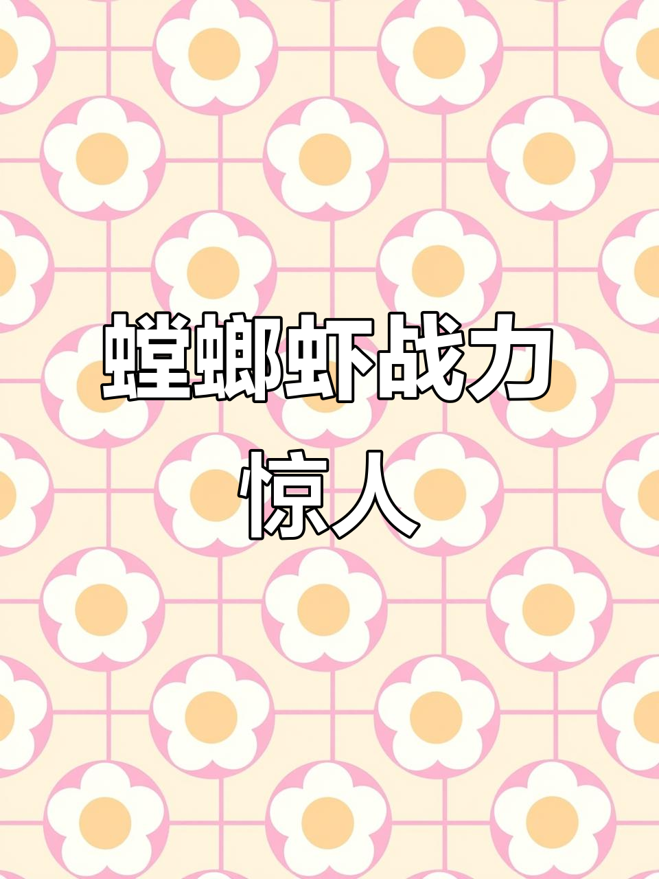 螳螂虾拳法无敌，连螃蟹都敢挑战