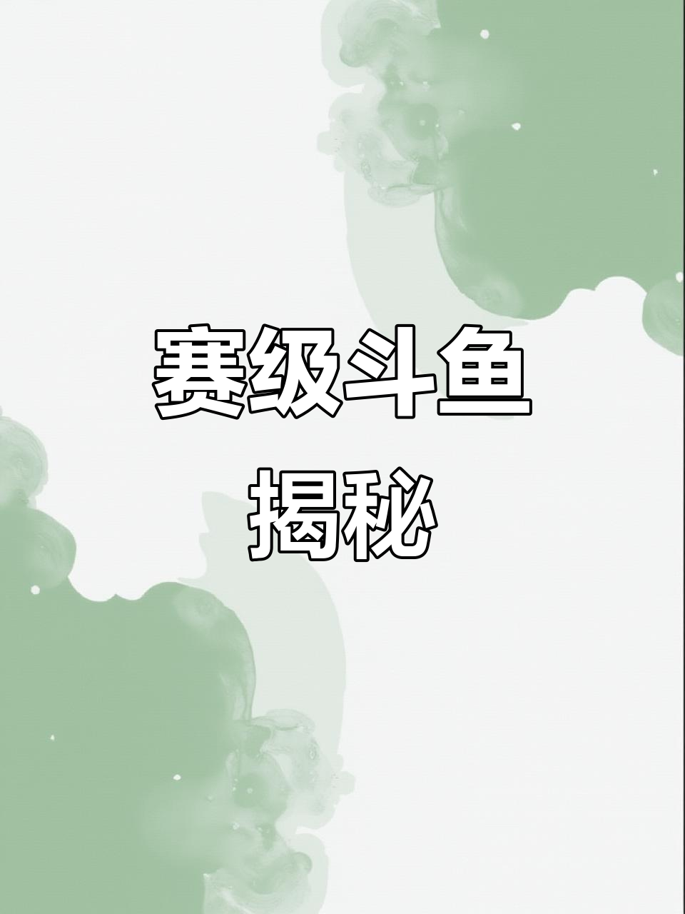 赛级斗鱼长啥样?这些值多少钱,值得入手吗