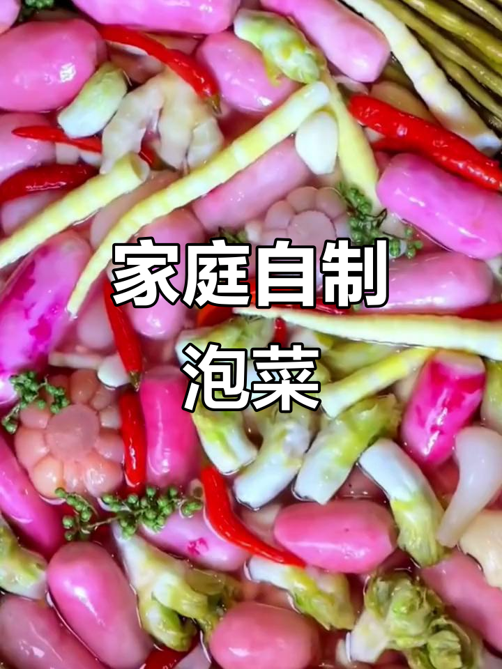 想做泡菜？试试这款发酵菌，简单又美味！