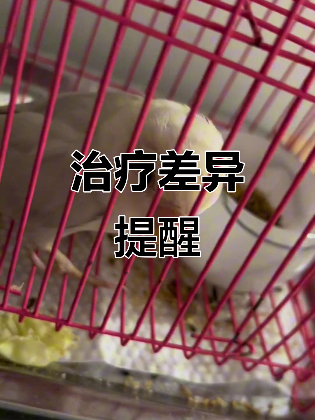 息肉与单眼伤风用药大不同,正确治疗快速恢复