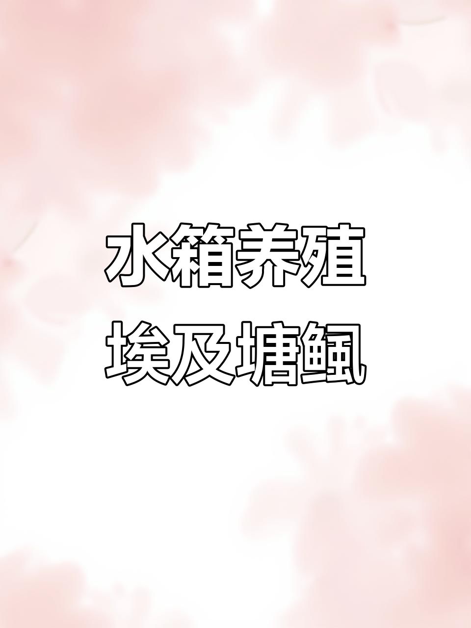 水箱养埃及塘鲺挑战:从空缸到二十条大鱼,成长过程全纪录